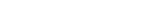 Logo Footer
